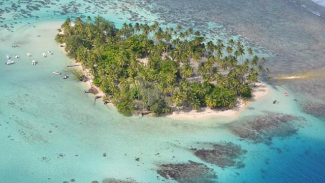 Pension Hibiscus Tahaa Uturoa 외부 사진